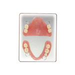 �ی����̂΂ˎ������ꎕ