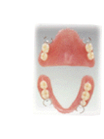 �ی��K�p���̓��ꎕ