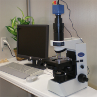 �ʑ���������