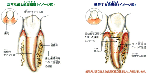 �G���h�Q�C���Đ��@